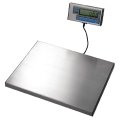 Platform and Bench Scales