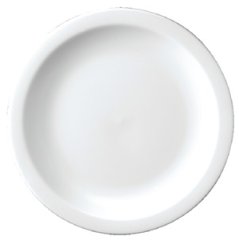 White Nova Plates 13 ½" (Box 6)